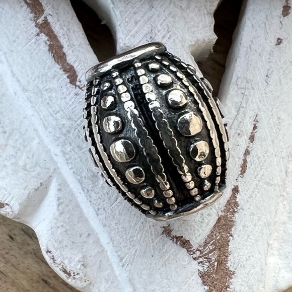 Retired Pandora Charm - Picture 3 of 3